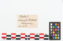 Etikett zu Bronzearmreif (NHMW-PRAE-026615)
